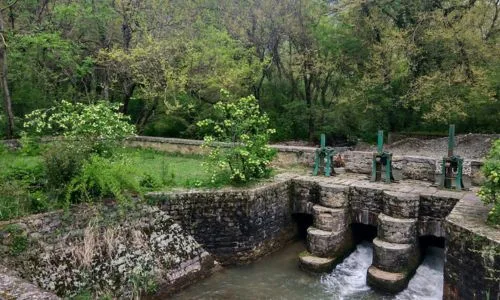 Explore Srinagar’s Beauty with a Wild Touch at Dachigam