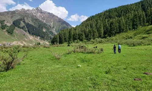 Gurez Valley Uncovered – A Hidden Paradise in Kashmir