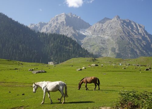 Trekking the Finest of Srinagar, Gulmarg & Sonamarg