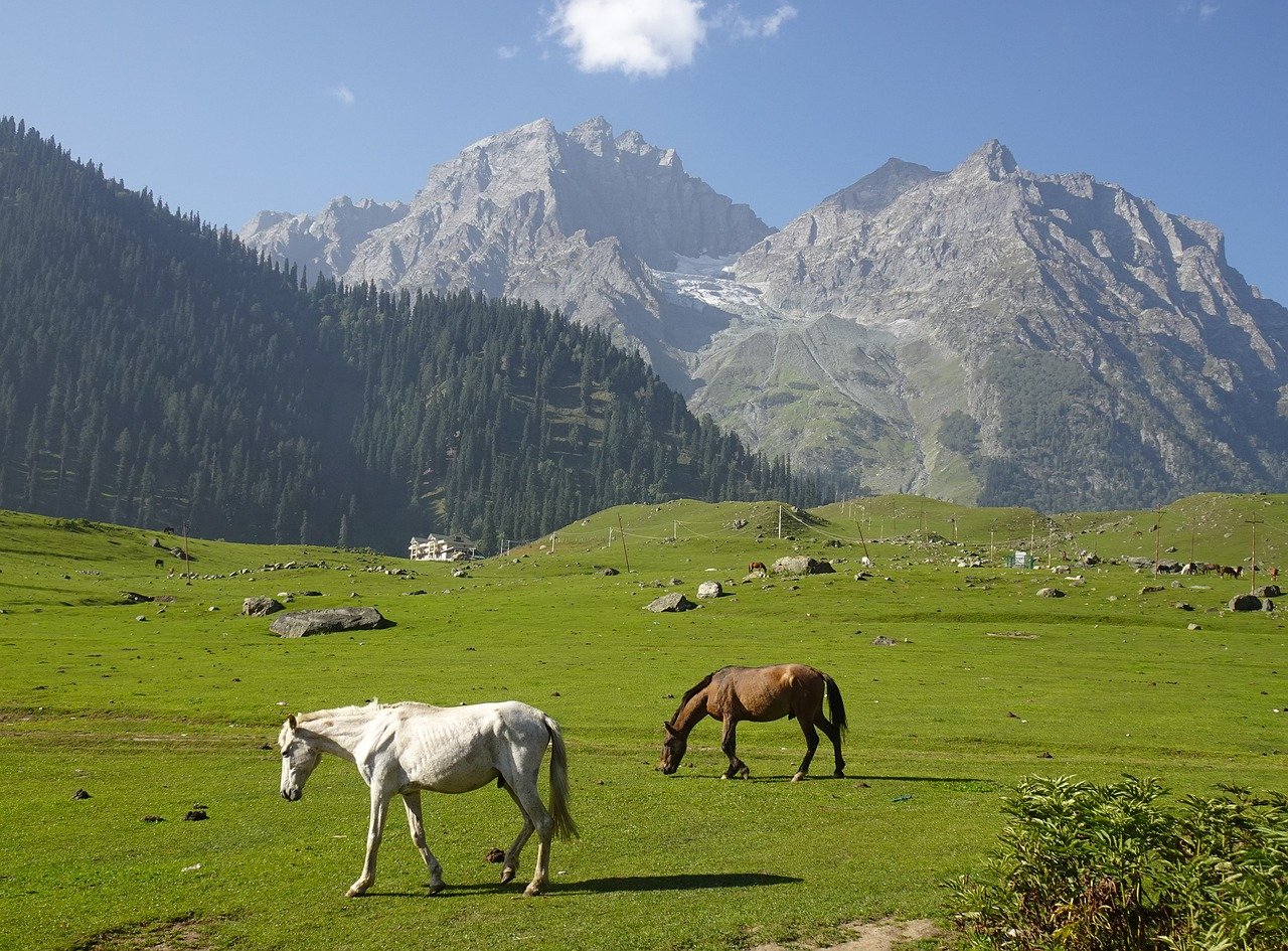 Trekking the Finest of Srinagar, Gulmarg & Sonamarg