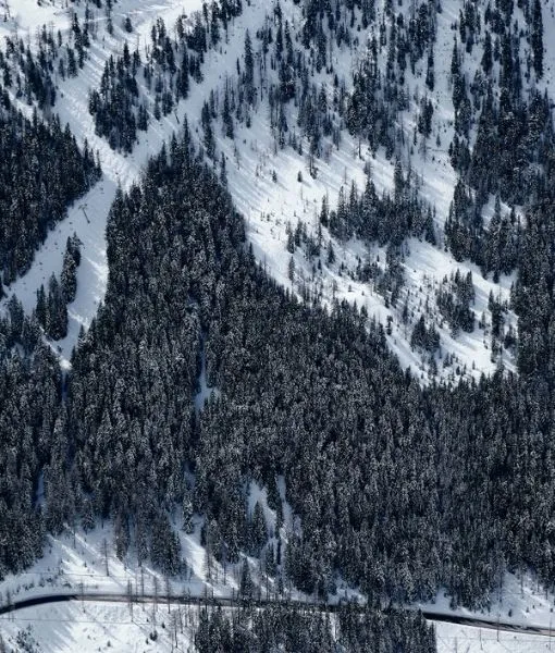 Winter Wonders
